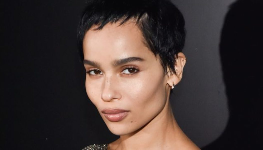 Only Zoë Kravitz Could Make a Basic Vest Top Look This Cool