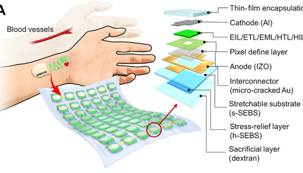 Samsung shows off stretchable OLED screen in prototype heart rate monitor