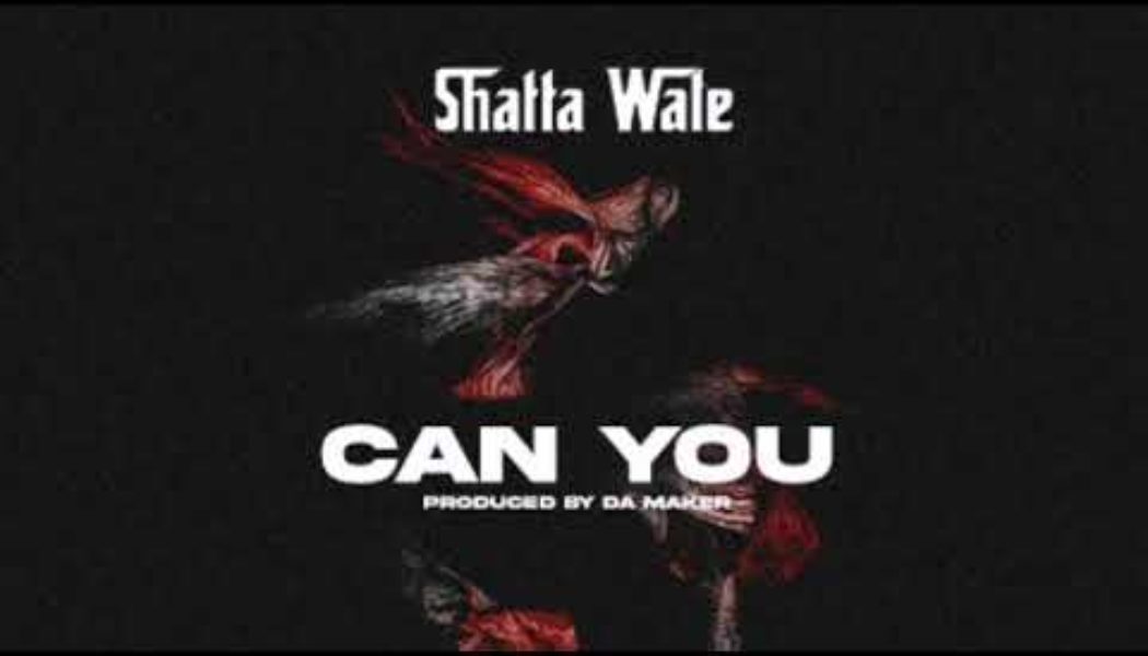 Shatta Wale – Can You