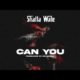 Shatta Wale – Can You