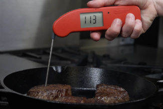 The Thermapen One promises to make the best meat thermometer even better