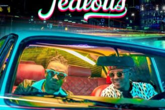 Alikiba – Jealous ft Mayorkun