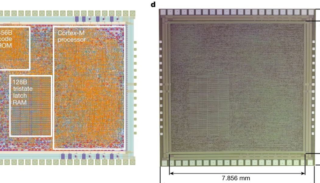 Arm’s cheap and flexible plastic microchip could create an ‘internet of everything’