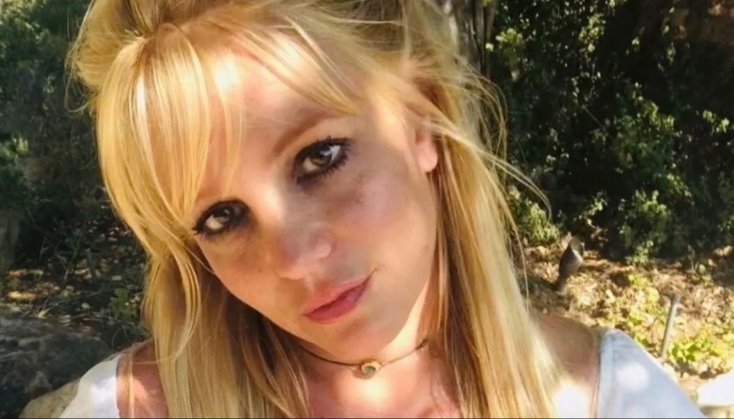 Britney Spears Uses #FreeBritney Hashtag in Instagram Post Celebrating Court Ruling