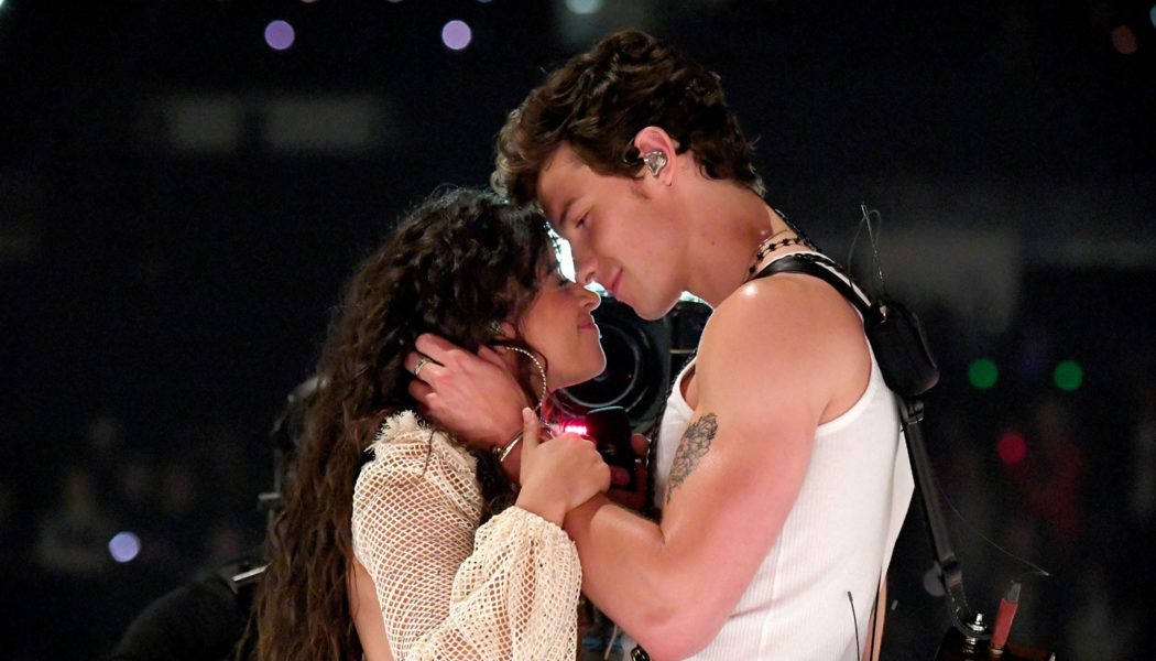 Camila Cabello, Shawn Mendes Celebrate Two Years of Dating With Anniversary Photos