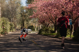 Could you beat this bipedal robot’s 5K run time?