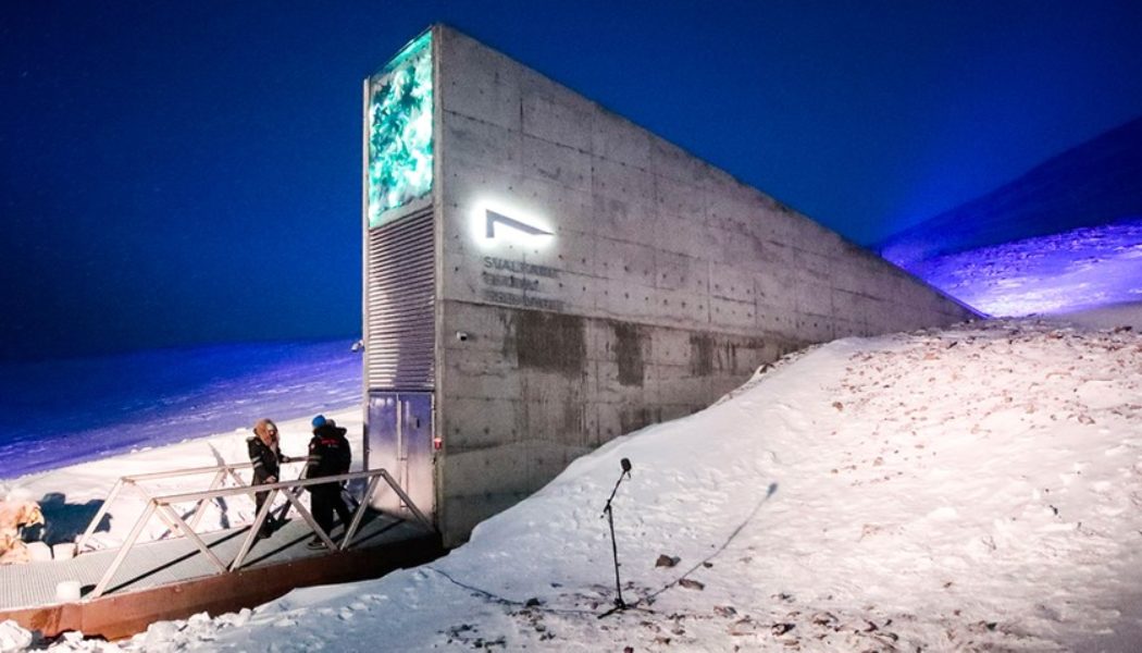 Doomsday Music Vault to Be Constructed in Arctic Island Near North Pole