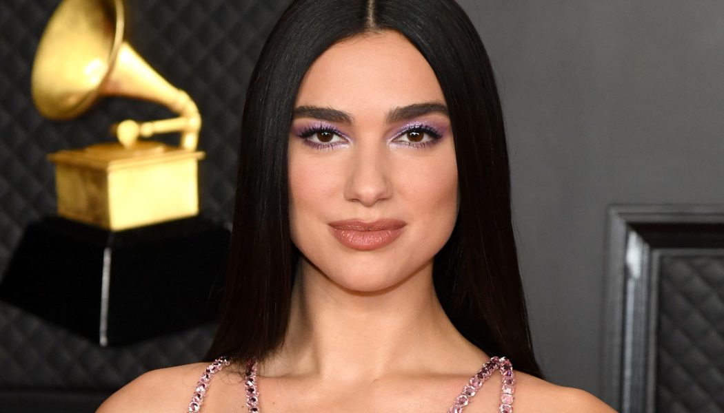 Dua Lipa Sued for Posting Paparazzi Photo of Herself to Instagram