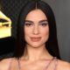 Dua Lipa Sued for Posting Paparazzi Photo of Herself to Instagram