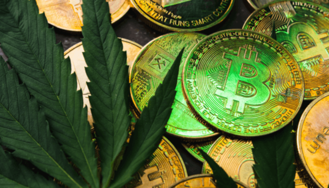 High on crypto: cannabis merchants to accept crypto payments