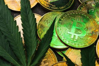 High on crypto: cannabis merchants to accept crypto payments