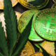 High on crypto: cannabis merchants to accept crypto payments