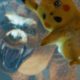 Netflix to Catch ‘Em All with Live-Action Pokémon Series