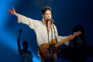 Primary Wave Quietly Amasses Largest Individual Share in Prince’s Estate