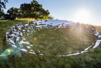 Sarah Sze Reflects the Living World in Massive Hillside Installation