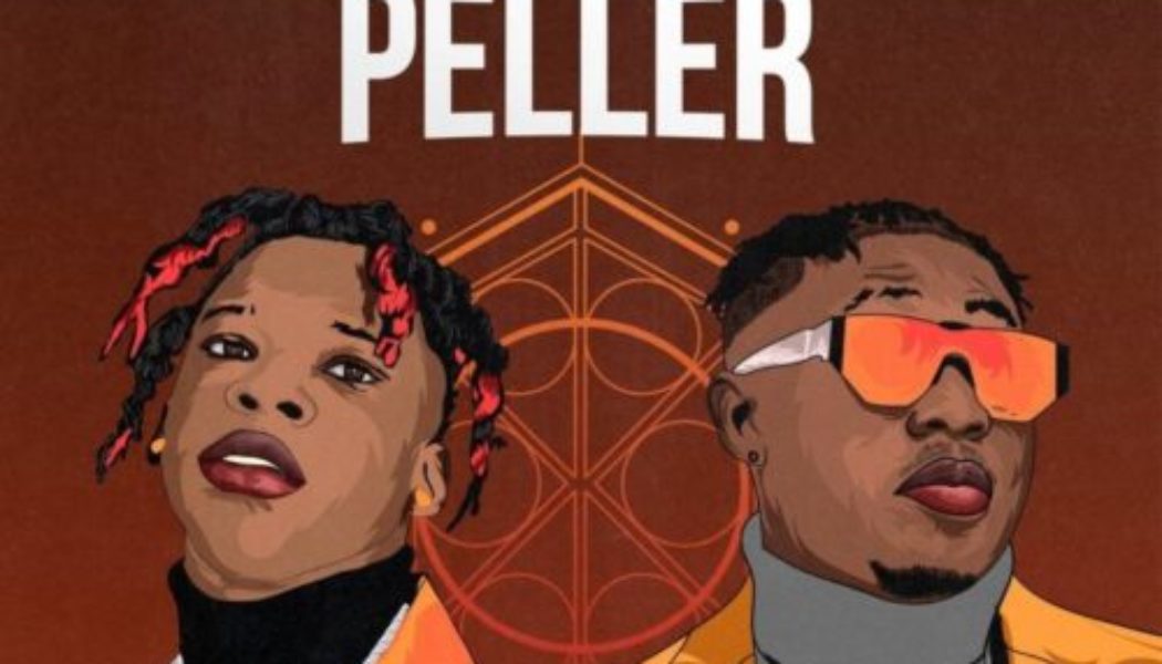 Seyi Vibez – Professor Peller ft Zlatan