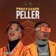 Seyi Vibez – Professor Peller ft Zlatan