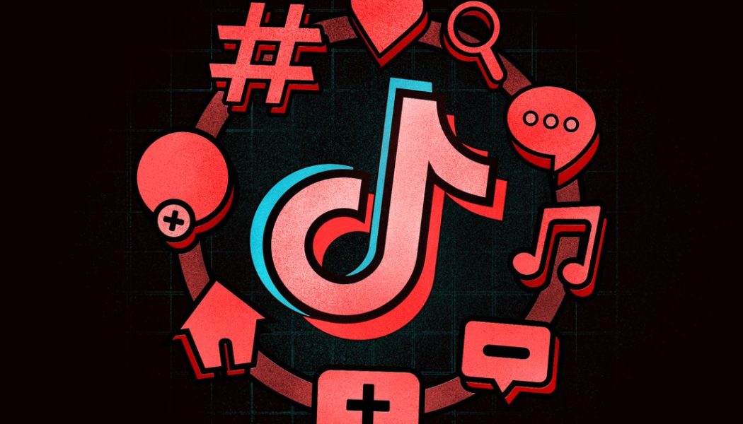 The Verge Guide to TikTok