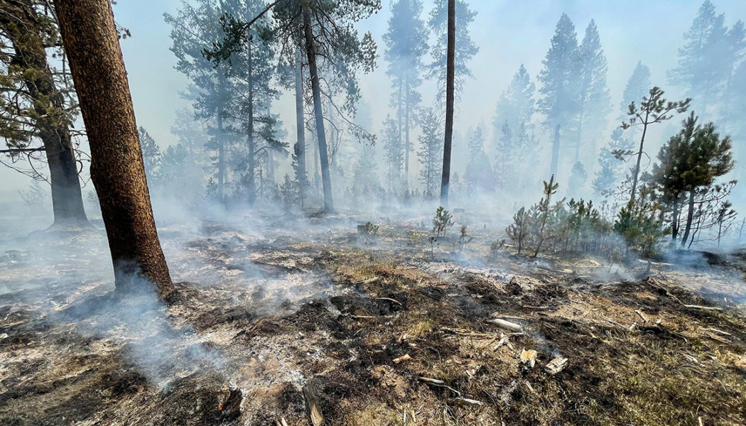 ‘We’re going to see more’ wildfires, Oregon governor warns