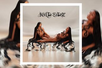 You Aren’t Ready for Normani and Cardi B’s “Wild Side”