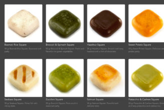 Are you ready to eat your delicious nutrient square? Yum, yum, yum