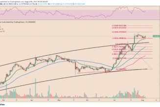 AXS price gains over 16% as Axie Infinity closes in on 1M daily active users