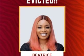 BBNaija: Beatrice, Niyi evicted from the Big Brother House