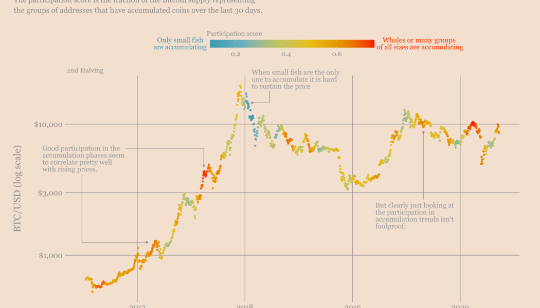 Bitcoin accumulation accelerates among ‘whales’ and ‘fish,’ while BTC rallies to $40K