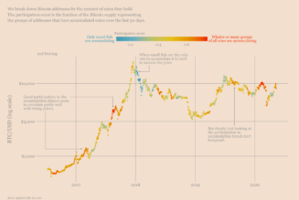 Bitcoin accumulation accelerates among ‘whales’ and ‘fish,’ while BTC rallies to $40K