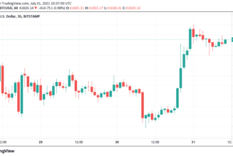 Bitcoin records rare 10-day winning streak as BTC price taps $42K ceiling