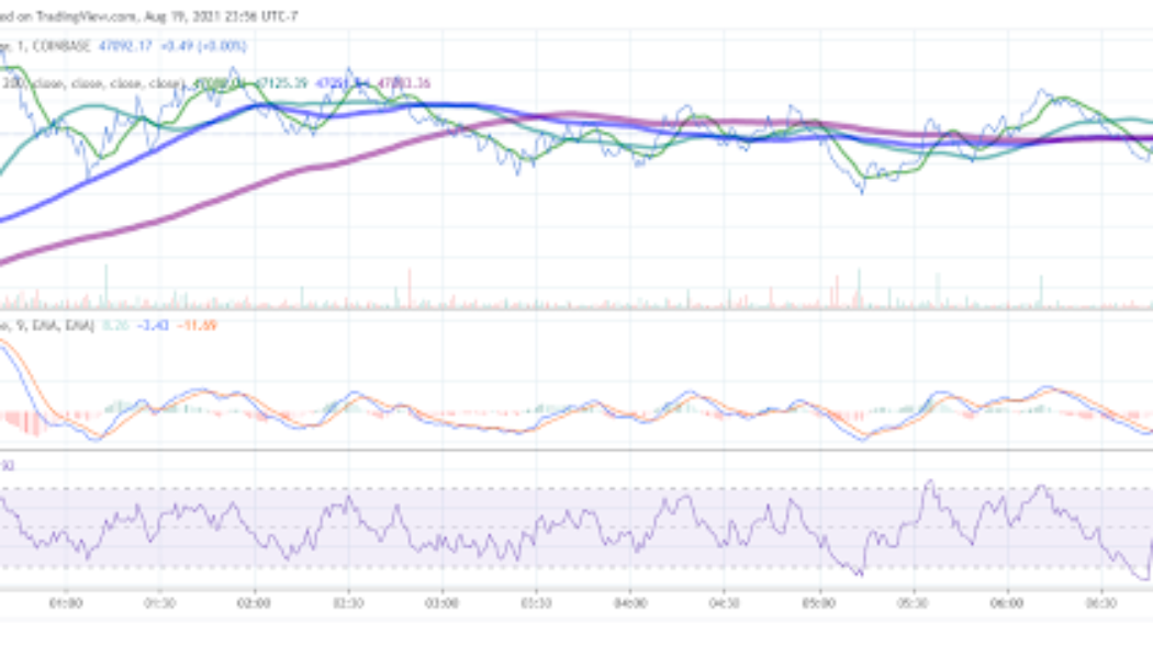 BTC, XRP and DOGE Analysis: Trio Recover to end the Week on a Winning Note