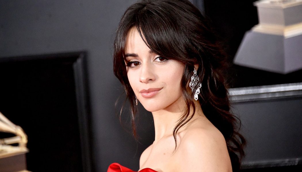 Camila Cabello Recounts Falling for Shawn Mendes: ‘I Was Completely In Love With Him’