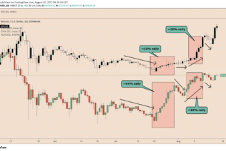 Cardano defies Peter Brandt’s 90% crash warning, ADA price doubles to new high