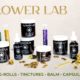 Celebrate National CBD Day with 20% Off All Flower Lab Products at Consequence Shop