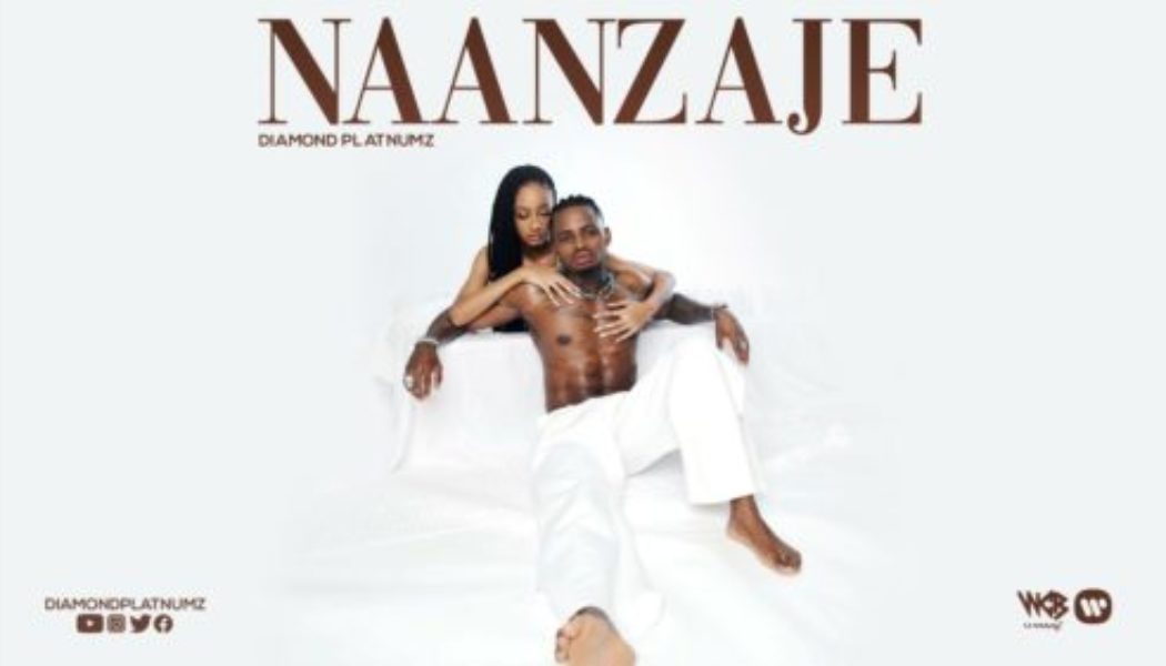 Diamond Platnumz – Naanzaje