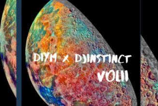 DJ Instinct – DIYM Mix (Mixtape)