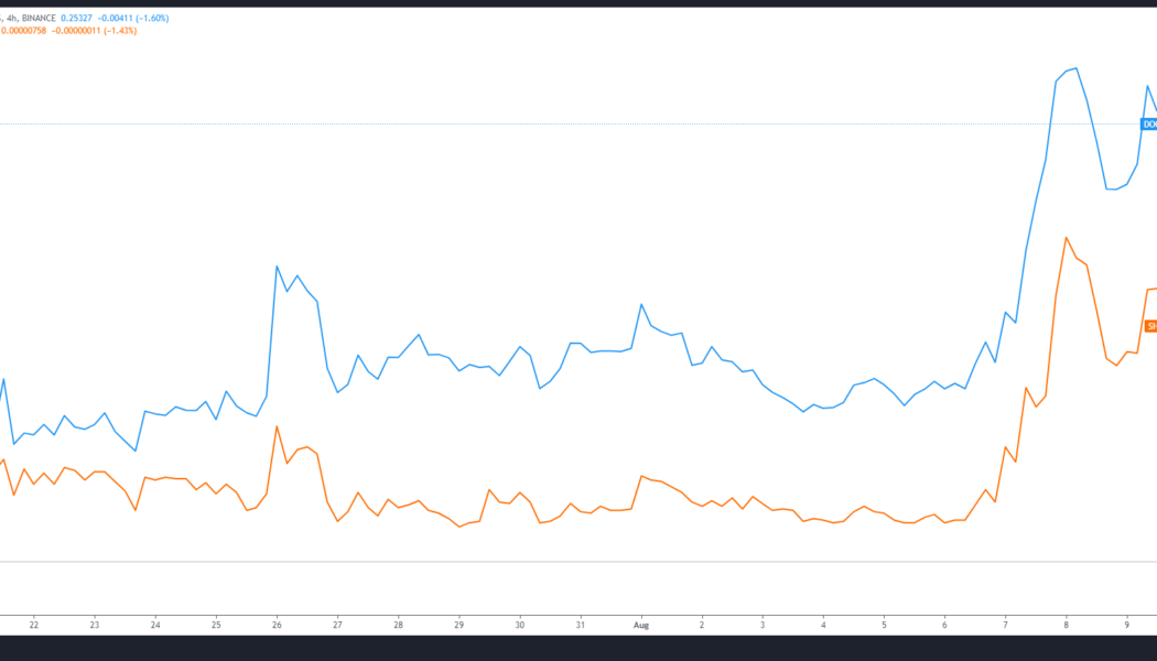 Every dog has its day: Dogecoin and Shiba Inu fetch 50% gains as altcoins rally