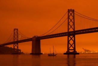 Google’s Nest Hub Introduces Air Quality Display as Wildfires Continue