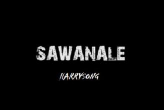 Harrysong – Sawanale