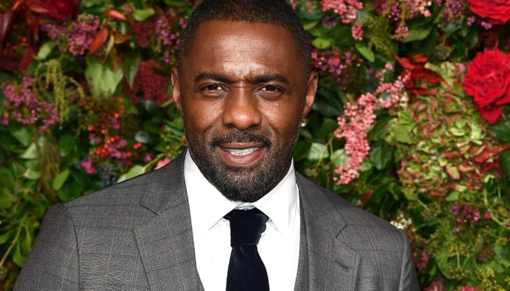 Idris Elba To Voice Knuckles in ‘Sonic the Hedgehog 2’