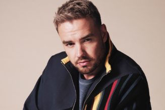 Liam Payne Chills With a Rooster & Gets Peppy in ‘Sunshine’ Video: Watch