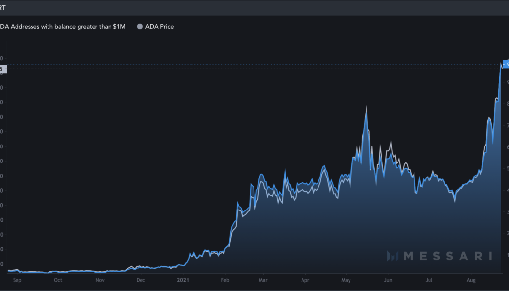 Number of Cardano millionaires rises by 173% after ADA price hits new highs