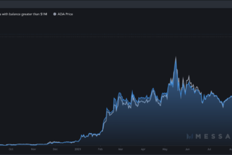 Number of Cardano millionaires rises by 173% after ADA price hits new highs