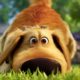 Pixar’s ‘Dug Days’ Shorts Bring Back the Adorable Dog From ‘Up’