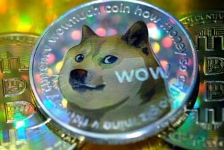 Re-Established Dogecoin Foundation Adds Ethereum Founder, Elon Musk Rep to Its Advisory Board