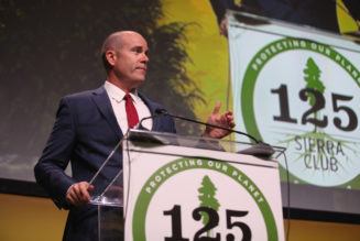 Sierra Club executive director Brune to step down