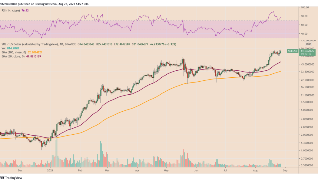 Solana hits record high with SOL price up over 218% in six weeks — What’s behind the rally?