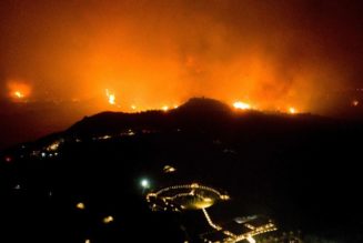 Southern Europe Is in a Panic as Wildfires Have Caused Mass Evacuations