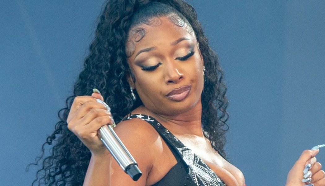 The Internet Won’t Stop Talking About the “WAP” ASL Interpreter Who Translated Megan Thee Stallion’s Lollapalooza Performance