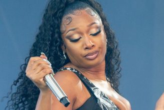 The Internet Won’t Stop Talking About the “WAP” ASL Interpreter Who Translated Megan Thee Stallion’s Lollapalooza Performance